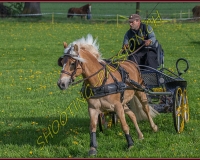 1POSIEUX 0145